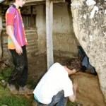 Link to Cob Working Bee, Hororata, Canterbury – Feb 12, 2012 Workers restoring the cob Cookhouse at Hororata canterbury