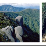 Link to Environmental groups press government to keep promise on mining Image collage of the Denniston Plateau