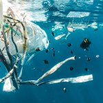 Plastic pollution