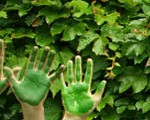 UC Community Gardens Banner